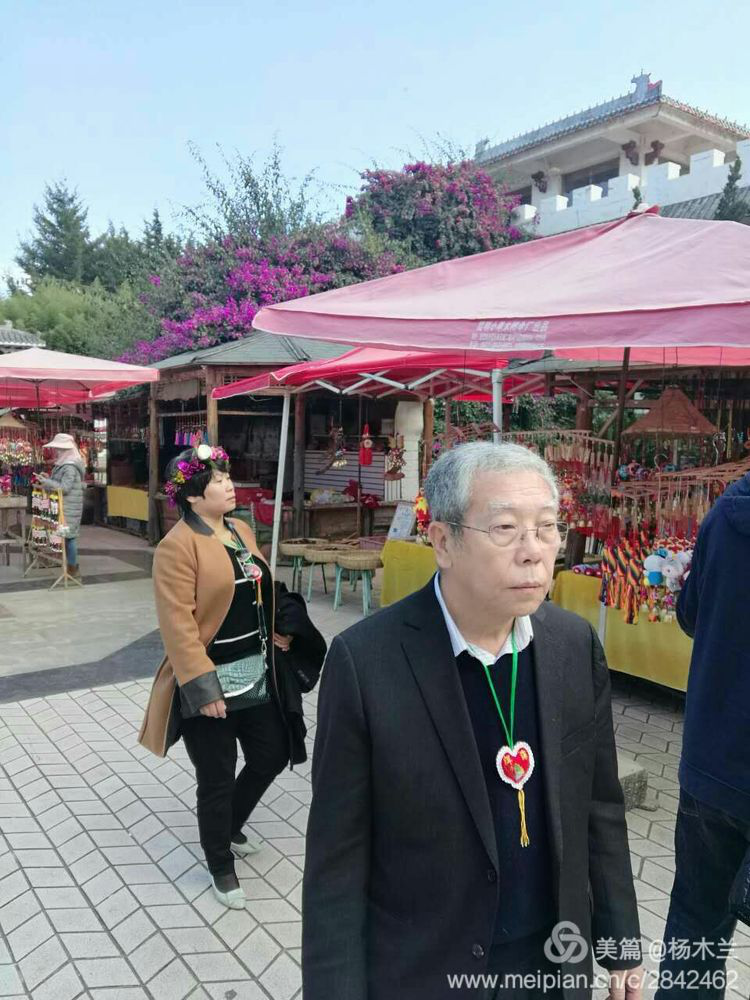 总会名誉会长杨晓铎行走在崇圣寺三塔