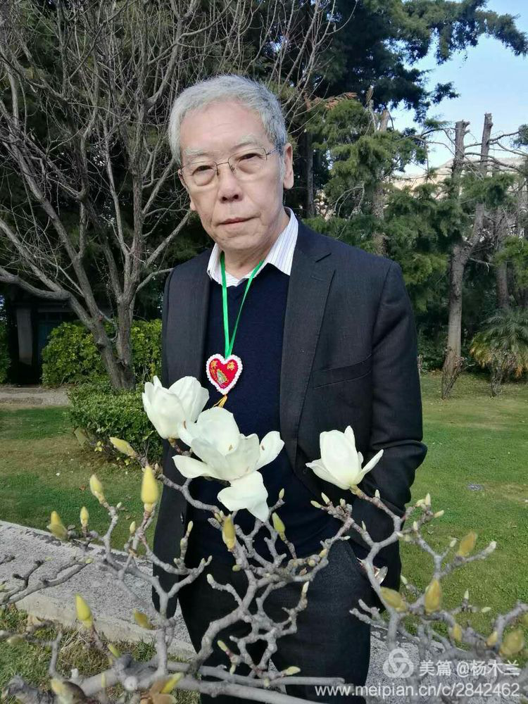 总会名誉会长杨晓铎行走在崇圣寺三塔